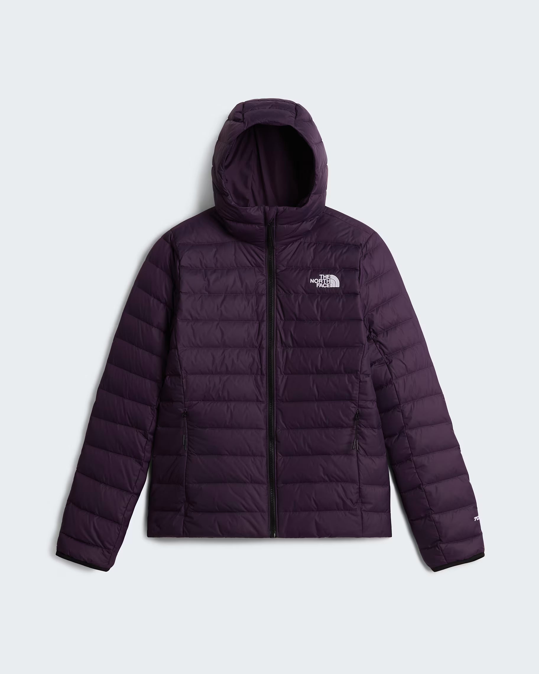 The North Face Womens Classic Down Hooded Jacket