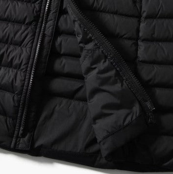 The North Face Womens Stretch Down Parka