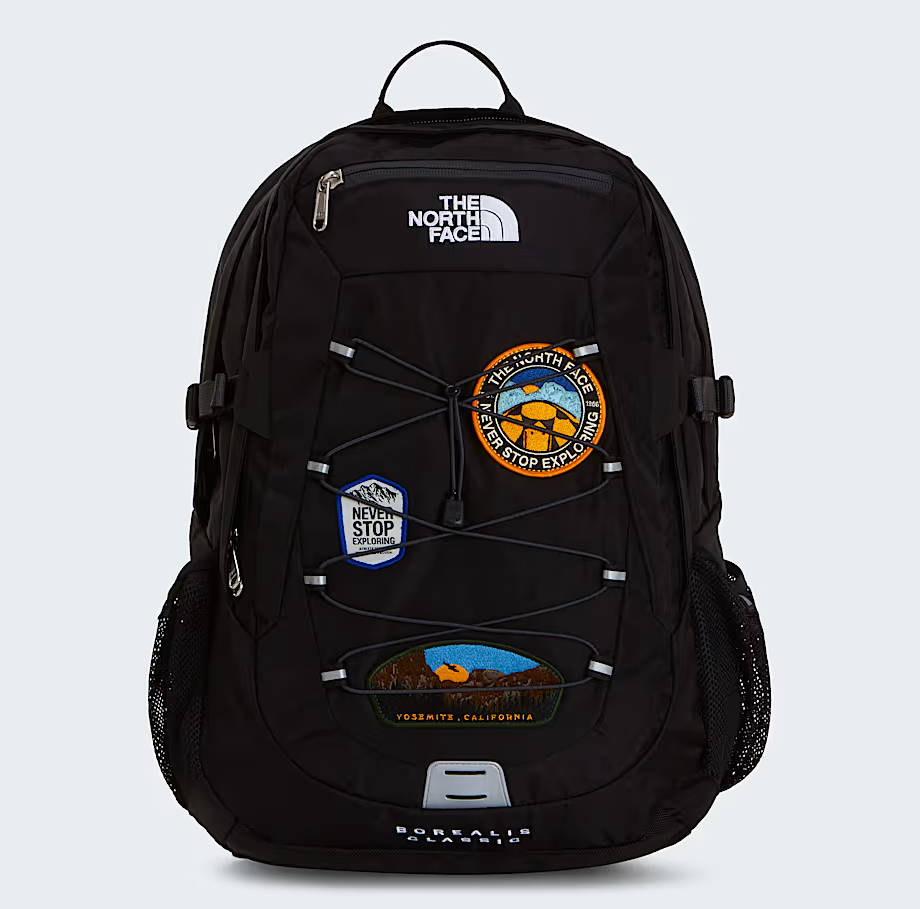 The North Face Borealis Back pack