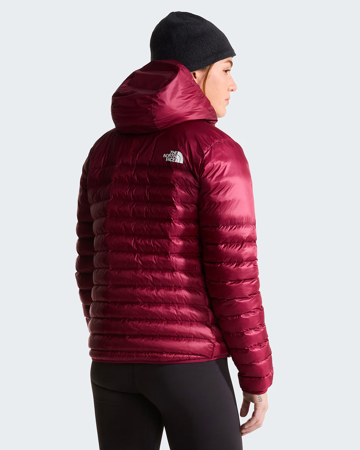 The North Face Womens Terra Peak Hooded Jacket