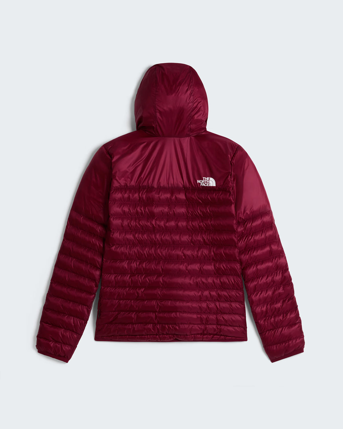 The North Face Womens Terra Peak Hooded Jacket